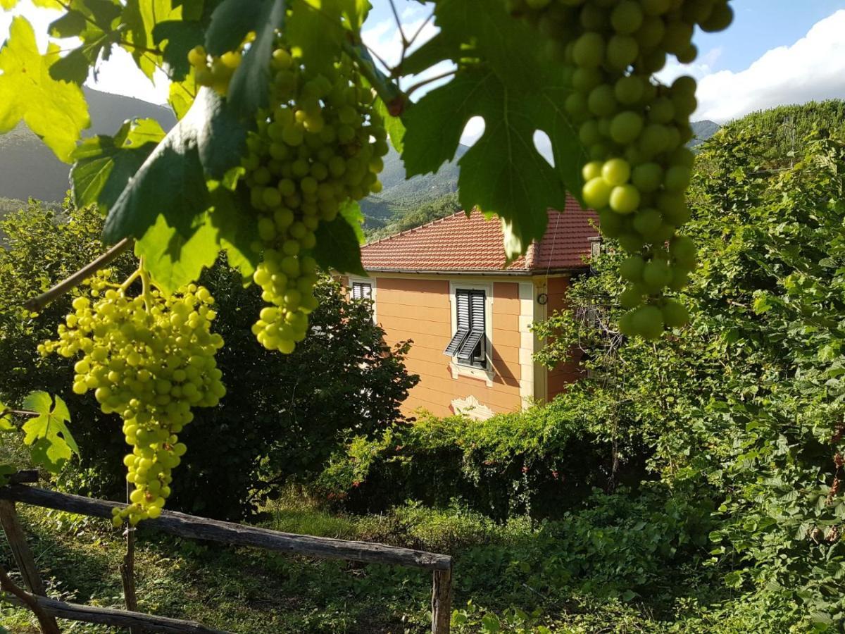 B&B Casa Del Priore Sestri Levante Zewnętrze zdjęcie